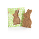 Easter Rabbit Caramel and Salted Almonds 160 g Venchi